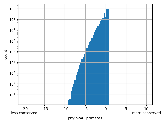 HISTOGRAM FOR phyloP46_primates