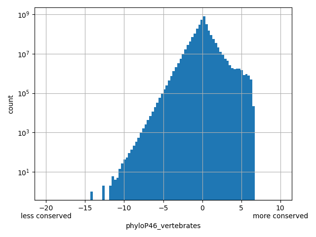 HISTOGRAM FOR phyloP46_vertebrates