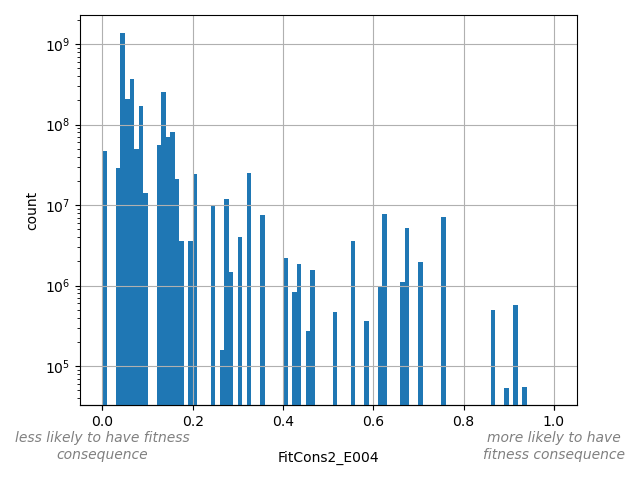 FitCons2_E004 HISTOGRAM FOR FitCons2_E004