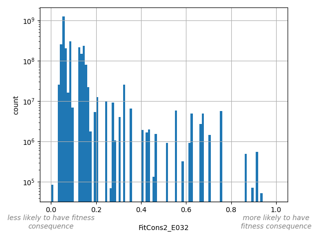 FitCons2_E032 HISTOGRAM FOR FitCons2_E032