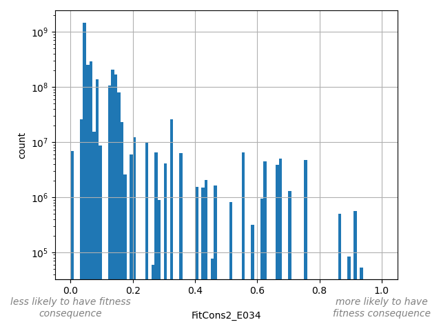 FitCons2_E034 HISTOGRAM FOR FitCons2_E034