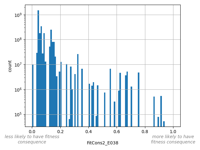 FitCons2_E038 HISTOGRAM FOR FitCons2_E038