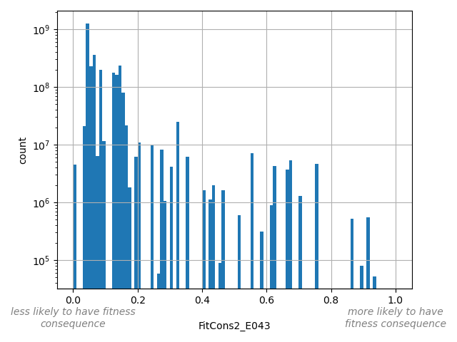 FitCons2_E043 HISTOGRAM FOR FitCons2_E043