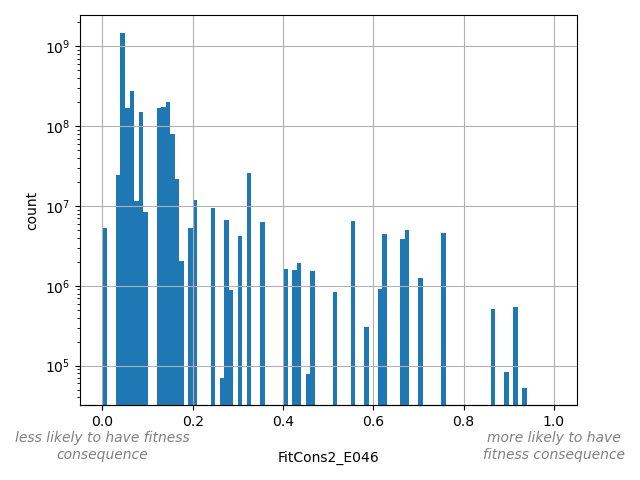 FitCons2_E046 HISTOGRAM FOR FitCons2_E046