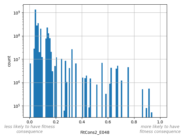 FitCons2_E048 HISTOGRAM FOR FitCons2_E048