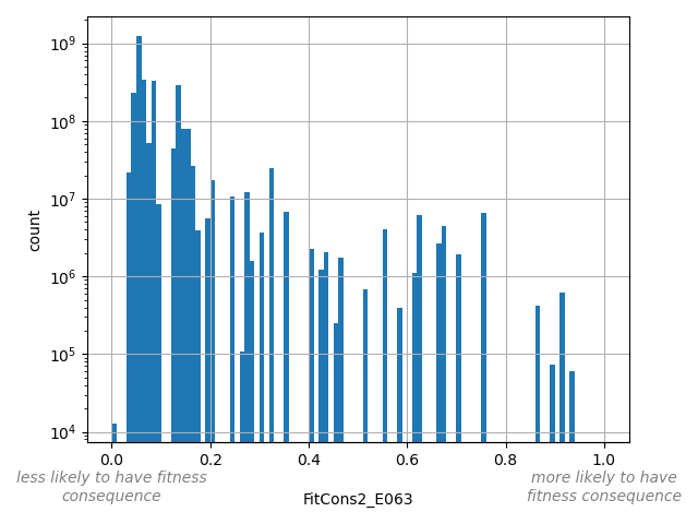 FitCons2_E063 HISTOGRAM FOR FitCons2_E063