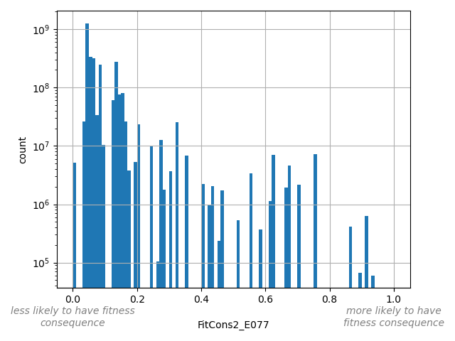 FitCons2_E077 HISTOGRAM FOR FitCons2_E077