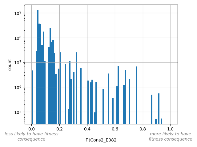 FitCons2_E082 HISTOGRAM FOR FitCons2_E082