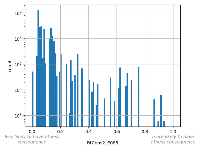 FitCons2_E085 HISTOGRAM FOR FitCons2_E085