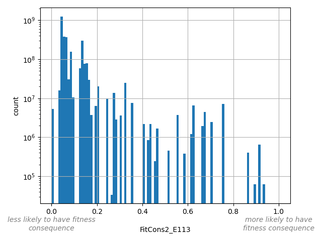 FitCons2_E113 HISTOGRAM FOR FitCons2_E113