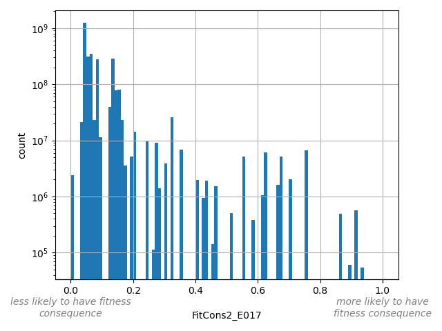 HISTOGRAM FOR FitCons2_E017