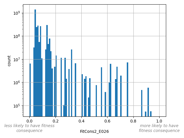 HISTOGRAM FOR FitCons2_E026