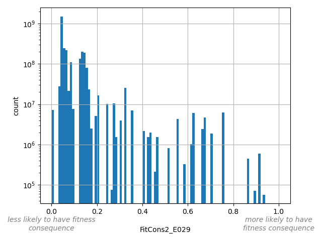 HISTOGRAM FOR FitCons2_E029