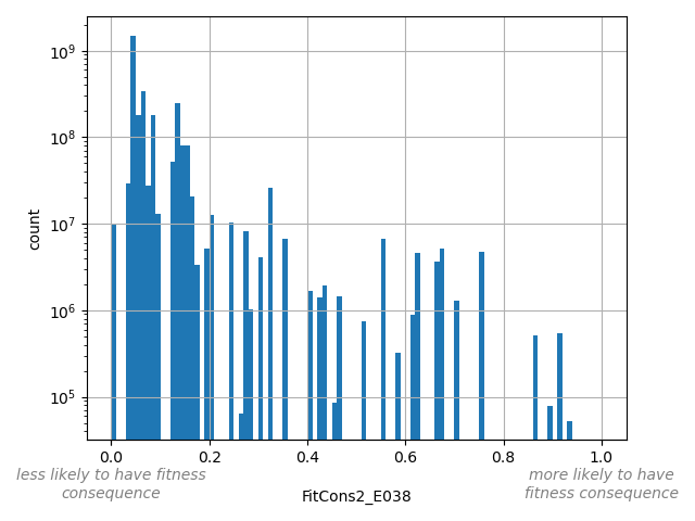 HISTOGRAM FOR FitCons2_E038