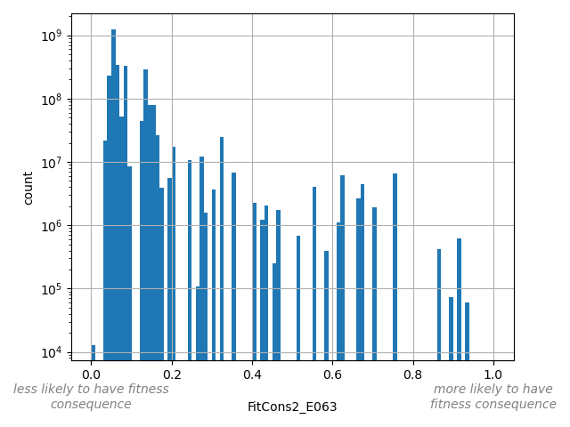 HISTOGRAM FOR FitCons2_E063