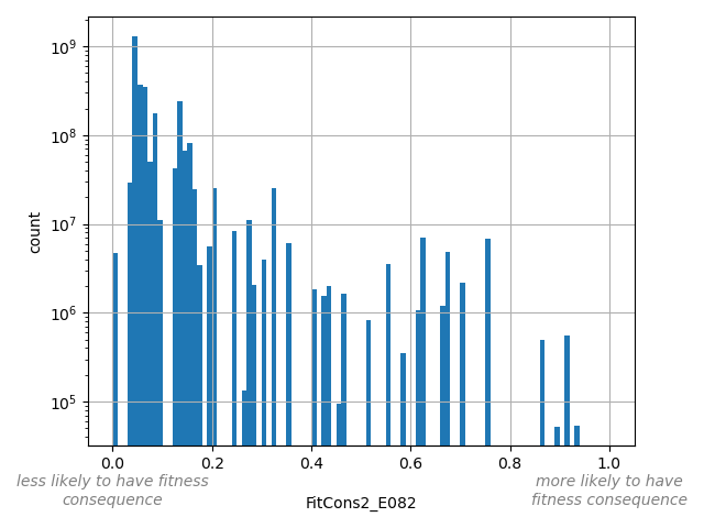 HISTOGRAM FOR FitCons2_E082