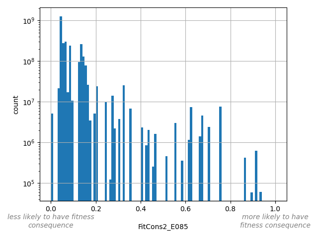 HISTOGRAM FOR FitCons2_E085