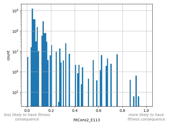 HISTOGRAM FOR FitCons2_E113