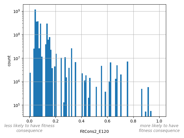 HISTOGRAM FOR FitCons2_E120