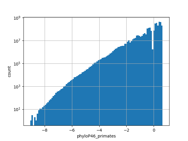 HISTOGRAM FOR phyloP46_primates