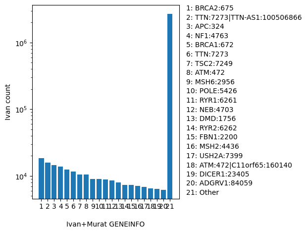 HISTOGRAM FOR GENEINFO