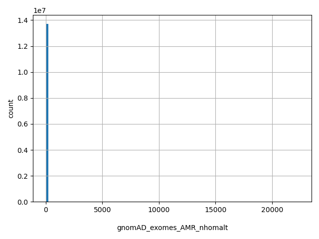 HISTOGRAM FOR gnomAD_exomes_AMR_nhomalt