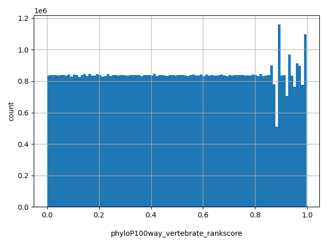 HISTOGRAM FOR phyloP100way_vertebrate_rankscore