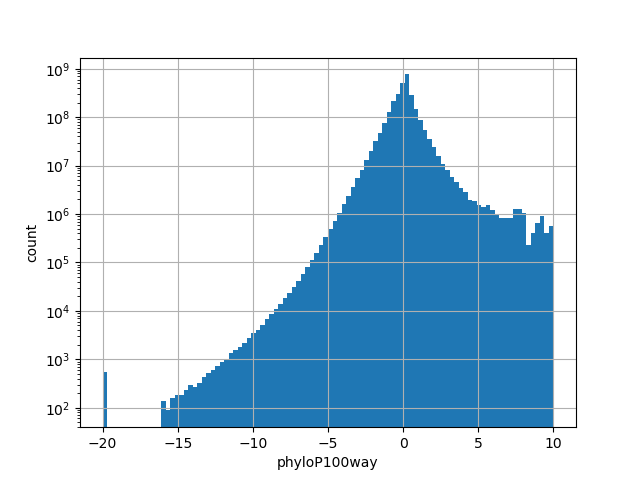 HISTOGRAM FOR phyloP100way